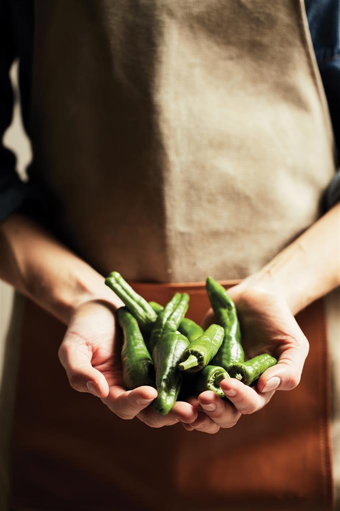 VINGA Asado Apron