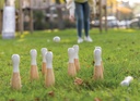 Wooden skittles set 