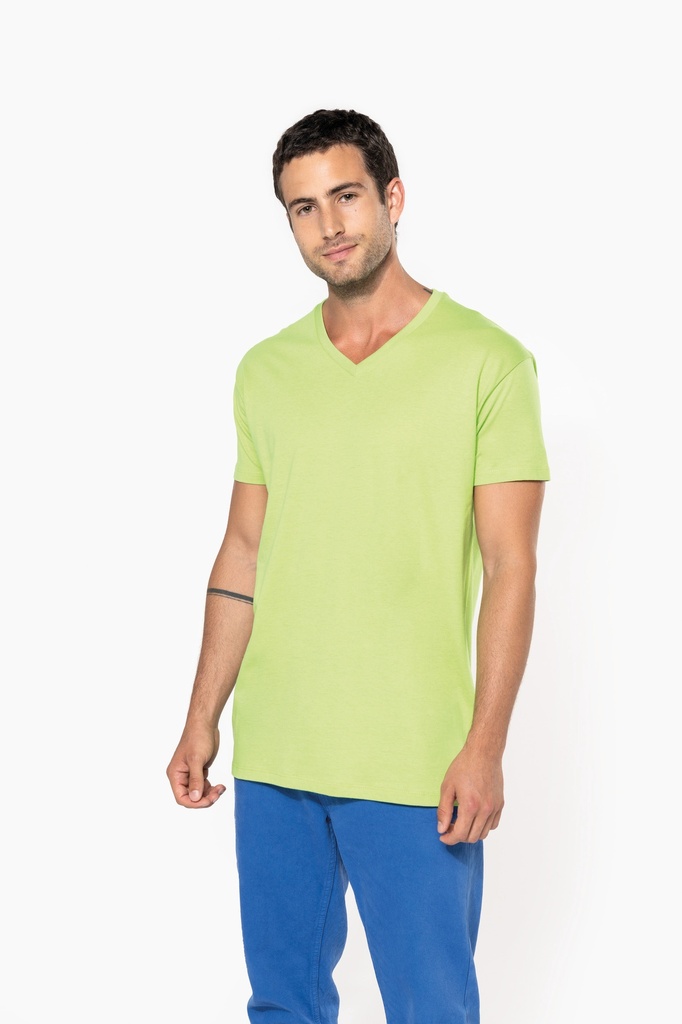 Men's BIO150IC V-neck t-shirt