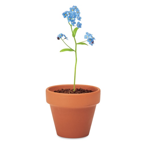 FORGET ME NOT [MO6146]
