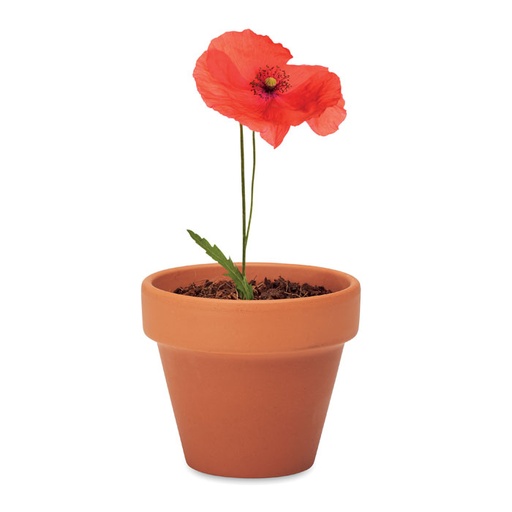RED POPPY [MO6148]