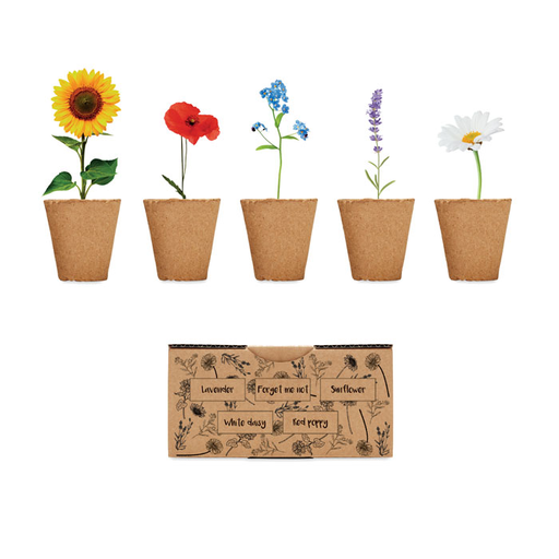 FLOWERS [MO6500]
