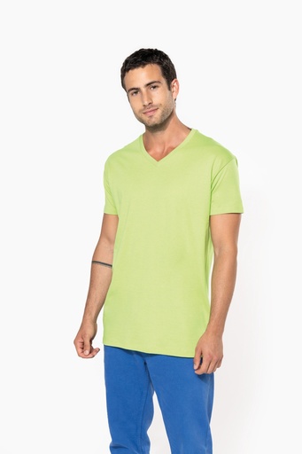 Men's BIO150IC V-neck t-shirt [K3028IC]